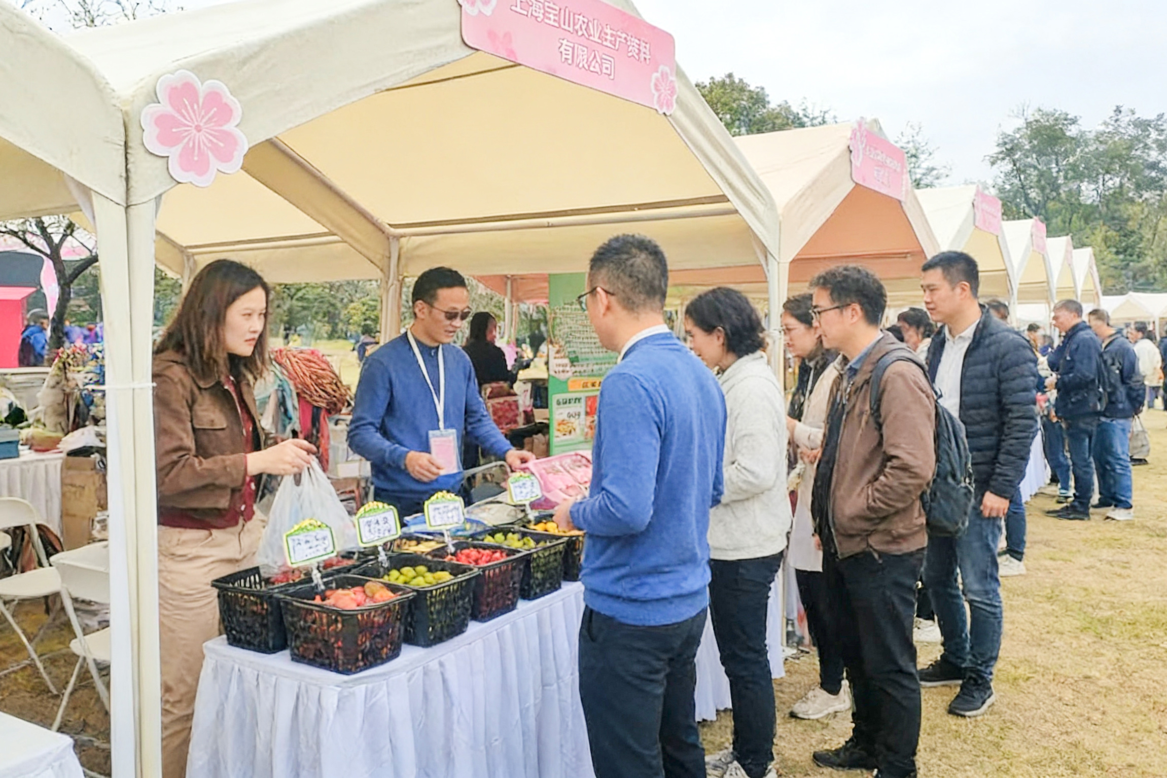 ��ɽ�������м�������ӣ���� �������������³���